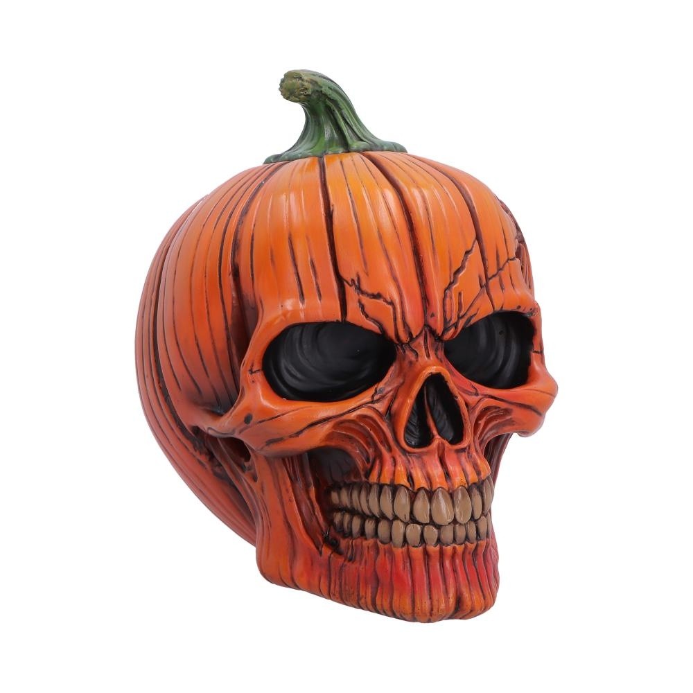Nemesis Now - Hall of Horrors: The Spirit of Halloween Beeld/figuur - Schedel - Multicolours